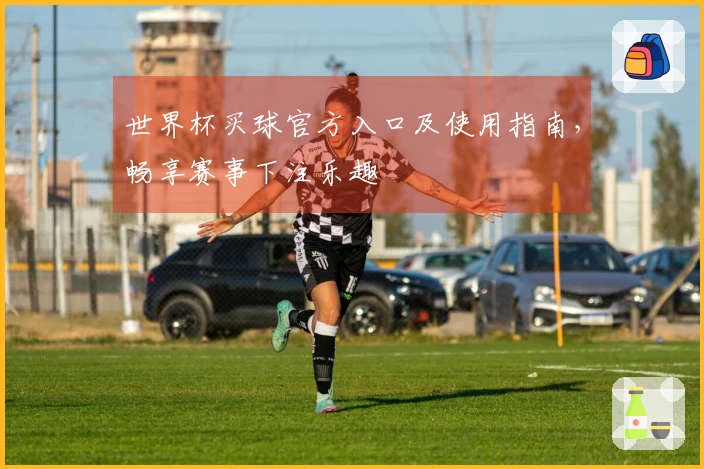 世界杯买球官方入口及使用指南，畅享赛事下注乐趣
