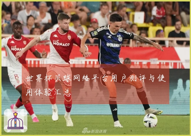 世界杯买球网络平台用户测评与使用体验汇总