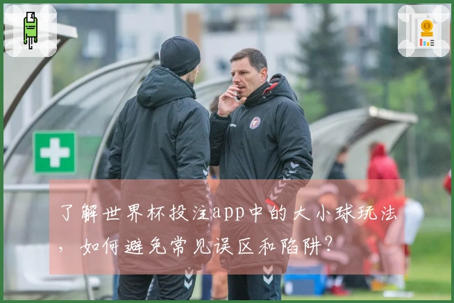 了解世界杯投注app中的大小球玩法，如何避免常见误区和陷阱？