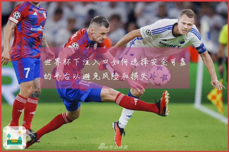 世界杯下注入口如何选择安全可靠的平台以避免风险和损失