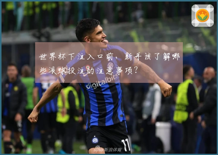 世界杯下注入口前，新手该了解哪些滚球投注的注意事项？