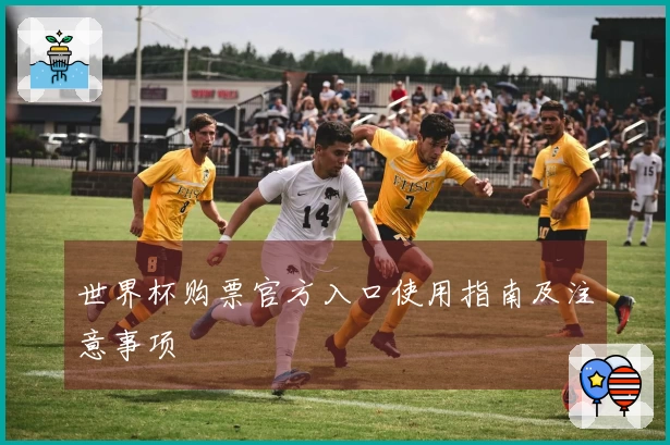 世界杯购票官方入口使用指南及注意事项
