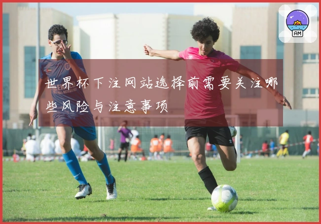 世界杯下注网站选择前需要关注哪些风险与注意事项