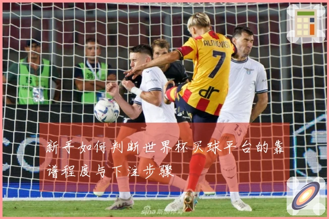 新手如何判断世界杯买球平台的靠谱程度与下注步骤
