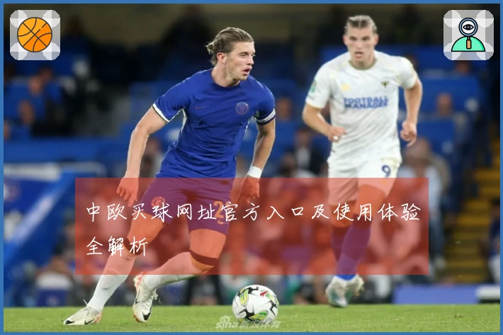 中欧买球网址官方入口及使用体验全解析