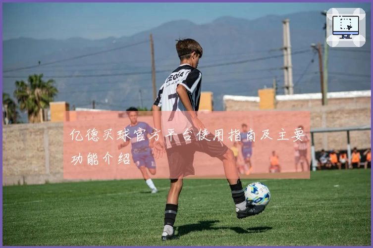 亿德买球官方平台使用指南及主要功能介绍