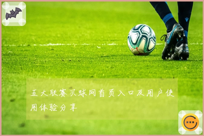 五大联赛买球网首页入口及用户使用体验分享