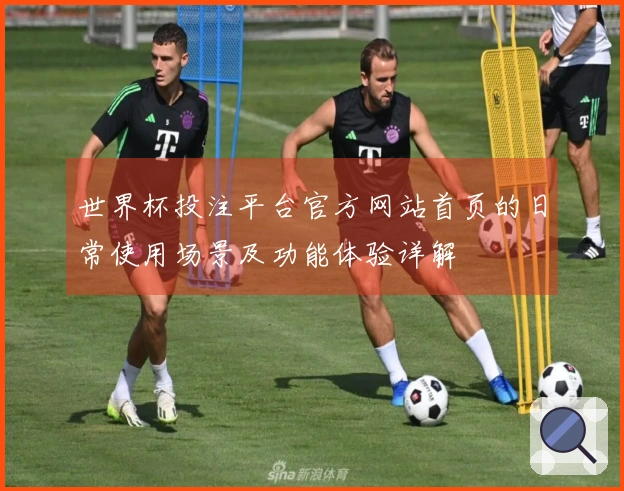 世界杯投注平台官方网站首页的日常使用场景及功能体验详解