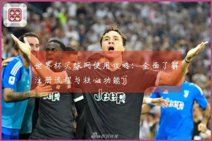 世界杯买球网使用攻略:全面了解注册流程与核心功能