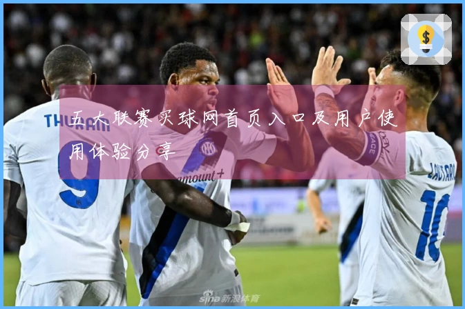 五大联赛买球网首页入口及用户使用体验分享