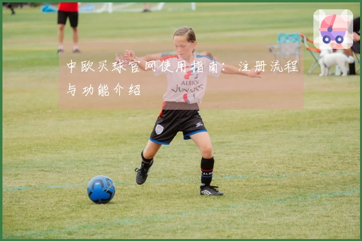 中欧买球官网使用指南：注册流程与功能介绍
