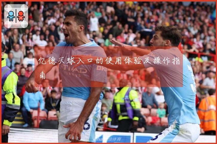 亿德买球入口的使用体验及操作指南