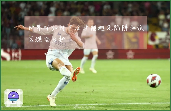 世界杯如何下注才能避免陷阱和误区现场分析