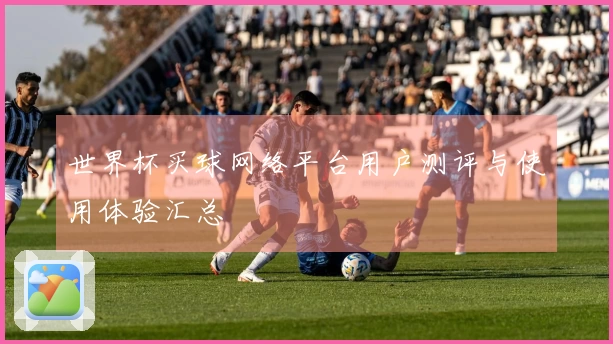 世界杯买球网络平台用户测评与使用体验汇总