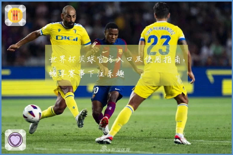 世界杯买球官方入口及使用指南，畅享赛事下注乐趣