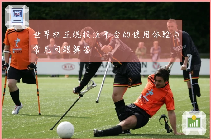 世界杯正规投注平台的使用体验与常见问题解答