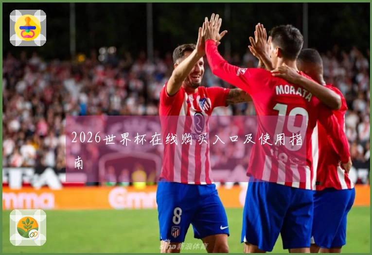 2026世界杯在线购买入口及使用指南