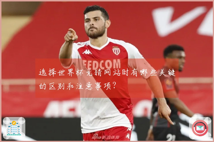 选择世界杯竞猜网站时有哪些关键的区别和注意事项？