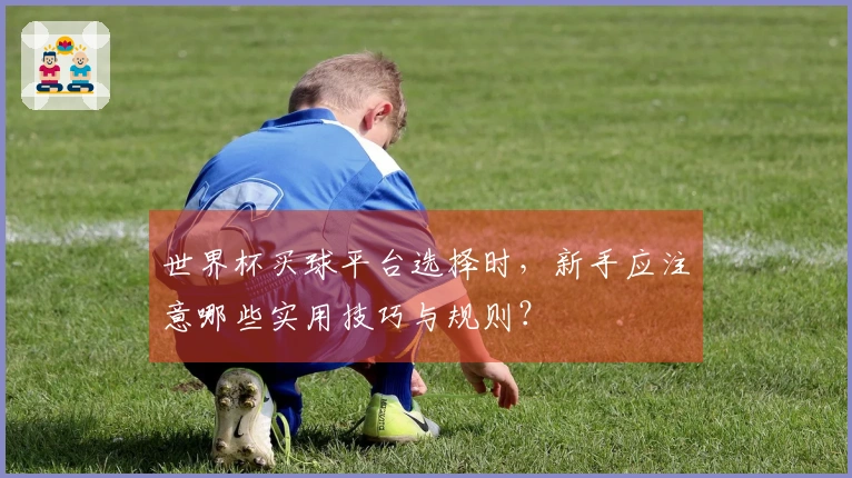 世界杯买球平台选择时，新手应注意哪些实用技巧与规则？