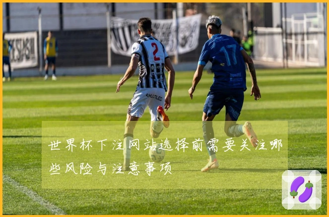 世界杯下注网站选择前需要关注哪些风险与注意事项