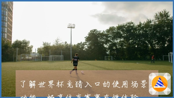 了解世界杯竞猜入口的使用场景与功能，畅享体育赛事直播体验