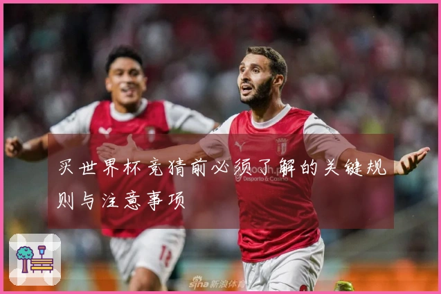 买世界杯竞猜前必须了解的关键规则与注意事项